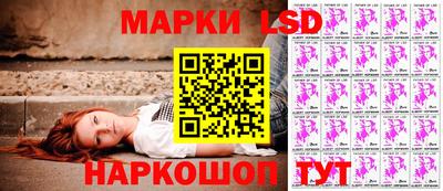 индика Гай