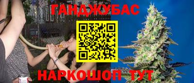 прущий лед Будённовск