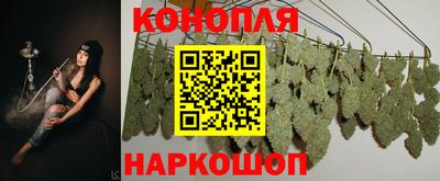 стафф Гагарин