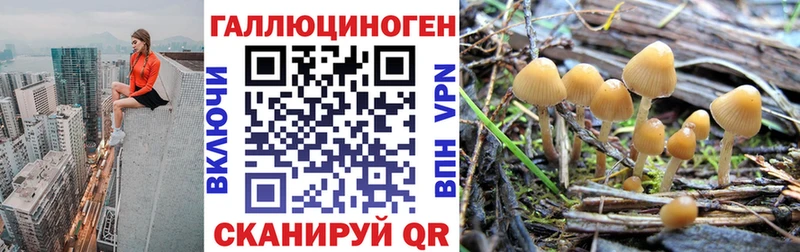 Псилоцибиновые грибы GOLDEN TEACHER кракен Каспийск