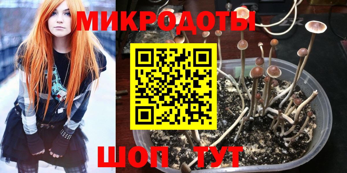 Галлюциногенные грибы MAGIC MUSHROOMS Каспийск