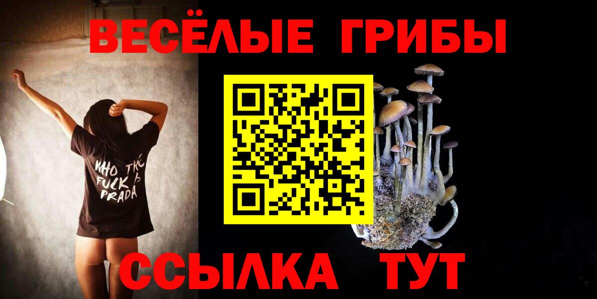 Псилоцибиновые грибы Cubensis  Вход с VPN  Псилоцибиновые грибы ЛСД  хочу   Каспийск 